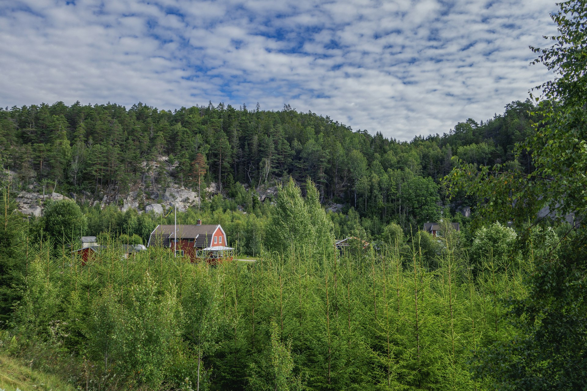 a house in the middle of a forest